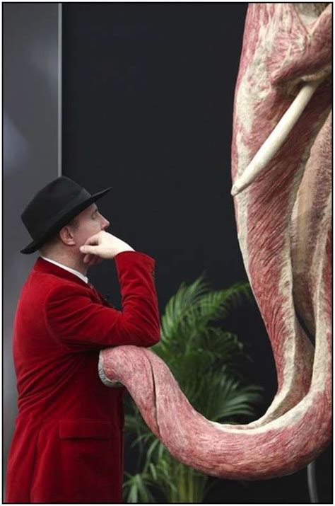 Animal Body Worlds Exhibition In Germany Moolf