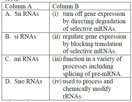 Different Types Of Rna In The Cells Easybiologyclass