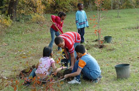 Free Picture Children Prepare Plant Trees