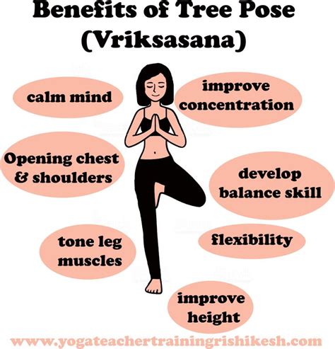 Benefits Of Tree Pose In 2020 Tree Pose Yoga Asanas Stomach Muscles