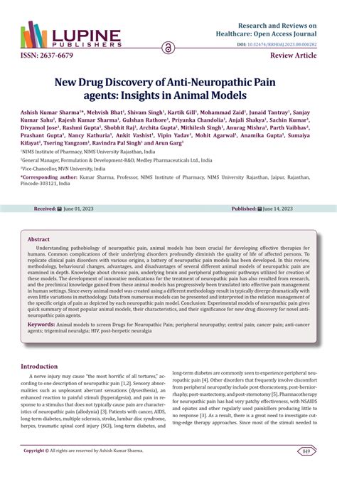 Pdf New Drug Discovery Of Anti Neuropathic Pain Agents Insights In