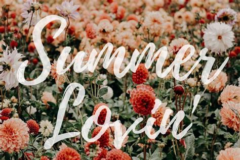 Summer Lovin Quotes Iphone Wallpaper Collection Preppy Wallpapers