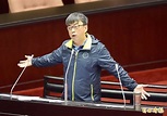 《TAIPEI TIMES》 DPP legislator Tuan slams Tsai, Lai - 焦點 - 自由時報電子報