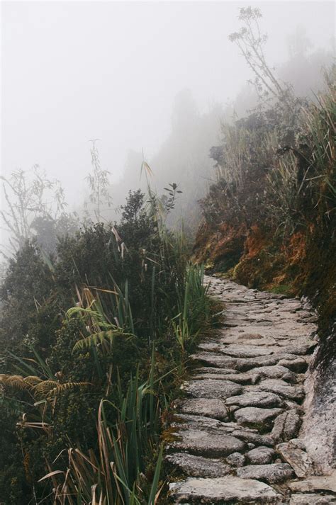 27 Path Pictures Download Free Images On Unsplash