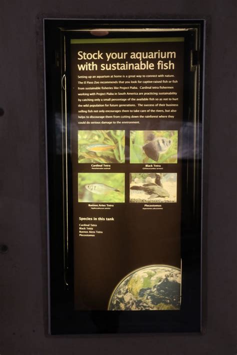 Sustainable Aquarium Sign Zoochat