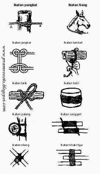 Simpul Simpul Yang Ada Di Pramuka The Real Pramro