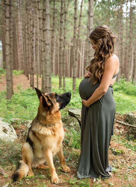Maternity Photo Shoot With German Shepherd Dog Fall Maternity