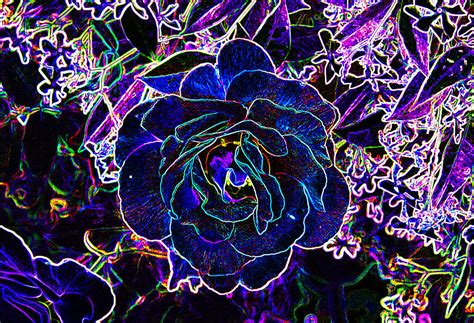 Neon Rose Photograph By Chuck Staley