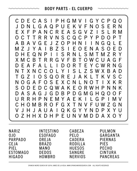 Spanish Word Search Body Parts Can You Find All The Body