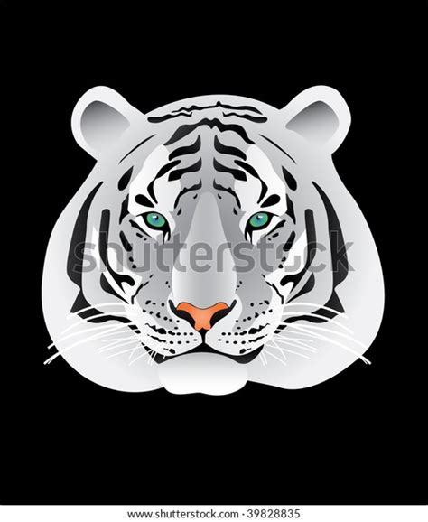 White Tiger Portrait Illustration On Black Stock Vector Royalty Free