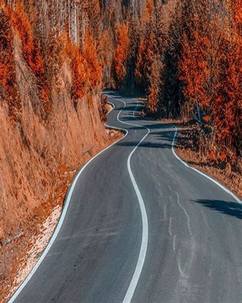Autumn Road Seven Lakesboluturkey Photo By Cemilsahin Turkey