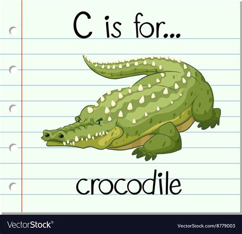 Flashcard Letter C Is For Crocodile Royalty Free Vector