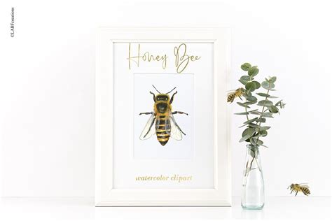 Honey Bee watercolor images | Watercolor images, Watercolor clipart, Floral watercolor