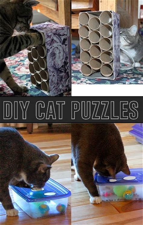 Puzzle feeders can create a fun way for cats to be active and mentally stimulated. DIY cat puzzle tutorials. Do our pets enjoy having their ...