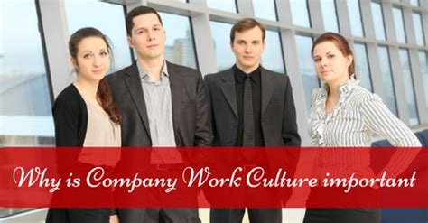 Thus, cultural elements do not persist in one generation but are transmitted to the next generation and survive the entire life span of an individual. Why is Company Work Culture Important? Top 30 Reasons ...