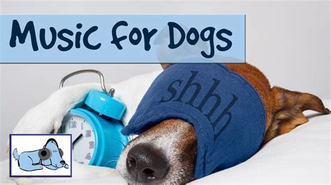 15 Minutes Of Calming Dog Music Music To Make Dogs Sleep Relaxing