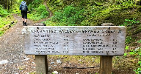 East Fork Quinault And Enchanted Valley Olympic National Park Mb Guiding