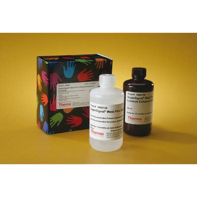 Thermo Scientific Supersignal West Pico Chemiluminescent Substrate West Pico Substrate L Kit