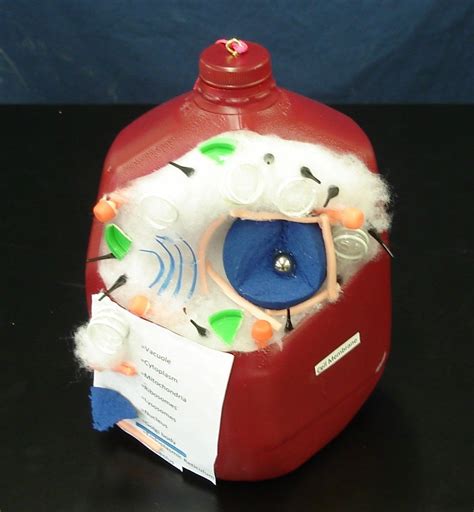 Check spelling or type a new query. Animal cell made from one gallon milk jug filled with ...