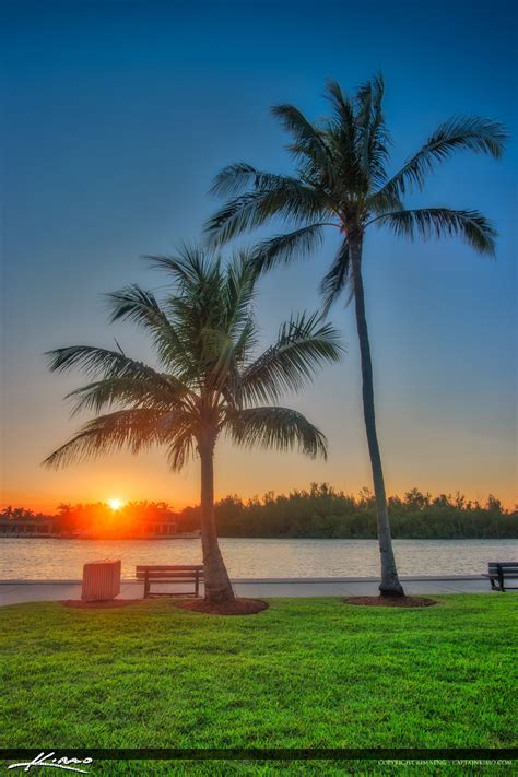 Sunset Red Reef Park Sunset Boca Raton Florida Coconut Trees Hdr