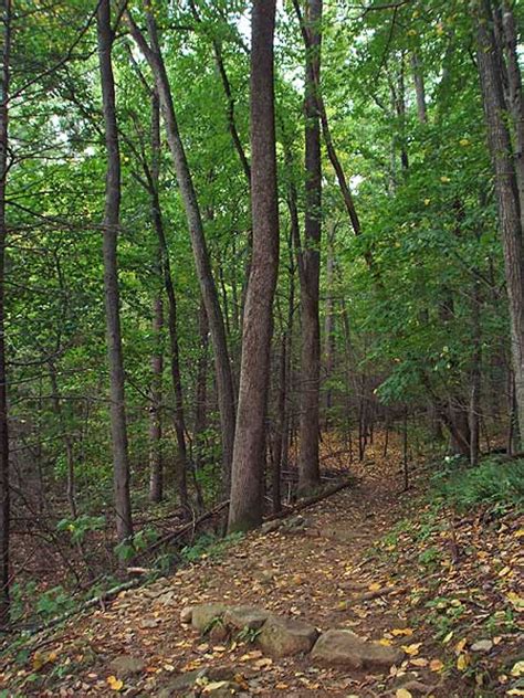 White Oak Canyoncedar Run Hike