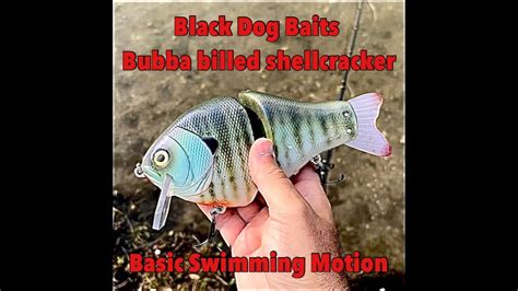 Basic Swimming Motion Of The Black Dog Baits Bubba Bill Bubba Shell