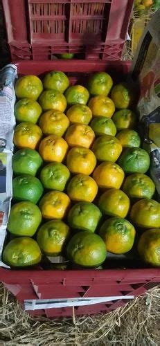 A Grade Maharashtra Fresh Nagpuri Oranges At Best Price In Chandurbazar