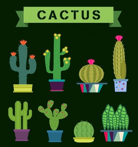 Cactus Free Vector Download 119 Free Vector For Commercial Use