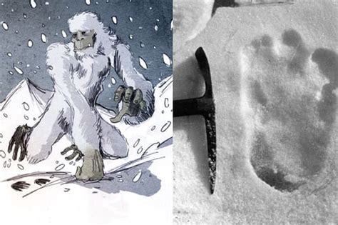 A Drawing Of The Yeti By Philippe Semeria And A Footprint On Mt Everest