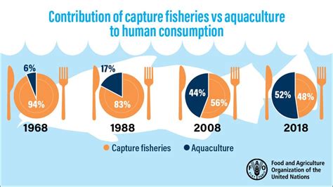 New Report Underscores Growth Trends Behind Wishhs Aquaculture Work