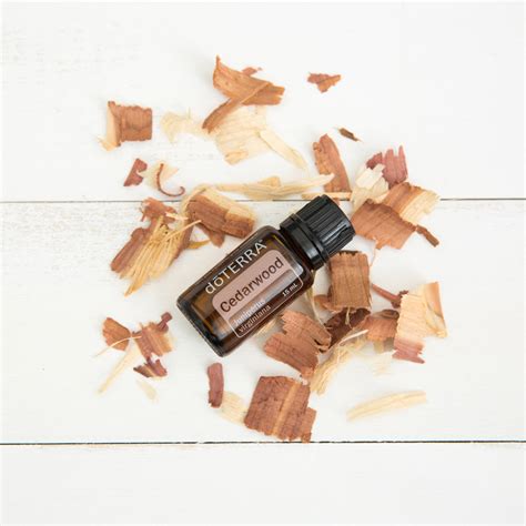Cedarwood Oil Uses And Benefits DoTERRA Essential Oils