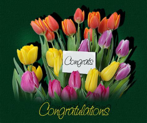 Congratulations Images With Flowers