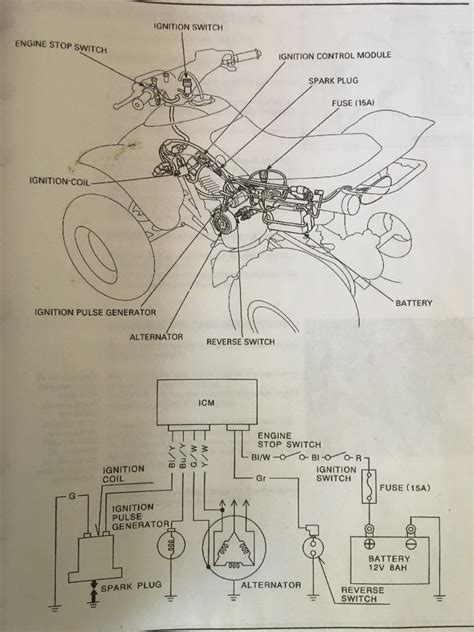 Honda 300ex Wiring Diagram
