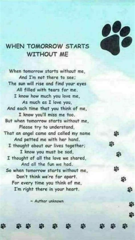If you've recently suffered a loss, read the rainbow bridge pet sympathy poem called rainbow bridge. (93) Facebook | Pet loss grief, Dog poems, Dog quotes