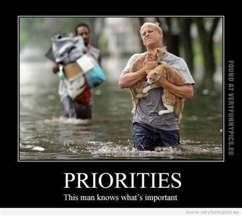 Funny Quotes About Priorities Quotesgram