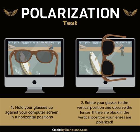 5 Ways To Test If Your Sunglasses Are Polarized Shari Dionne Luxury