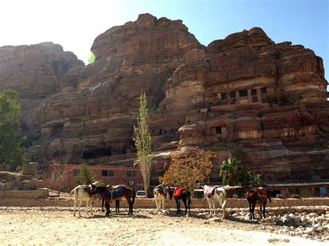 Petra Museum Petra Wadi Musa All You Need To Know Before You Go