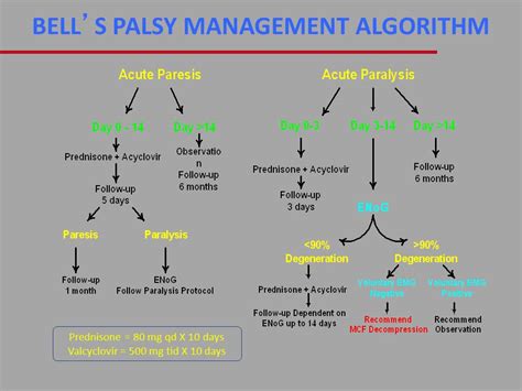 A double blind gantz bj, rubinstein jt, gidley p, woodworth gg. Bell's Palsy treatment algorithm (facial nerve paralysis ...