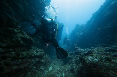 Cave Reef Diving Explore The Amazing Underwater World Divebooker