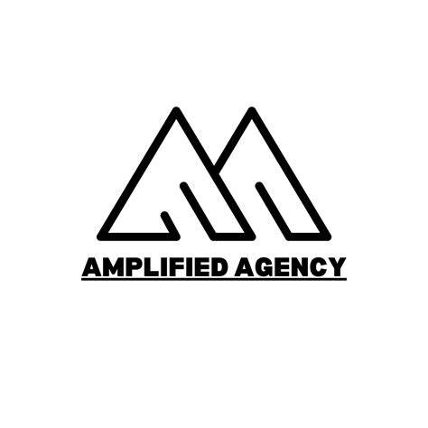 Multi niche and multiplatform retargeting- amplifiedagency.net