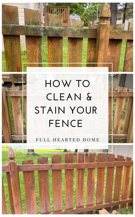 How To Clean And Stain Your Fence Easy And Inexpensive Fence
