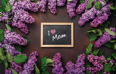 Free download Wallpaper flowers flowers spring purple romantic letter ...
