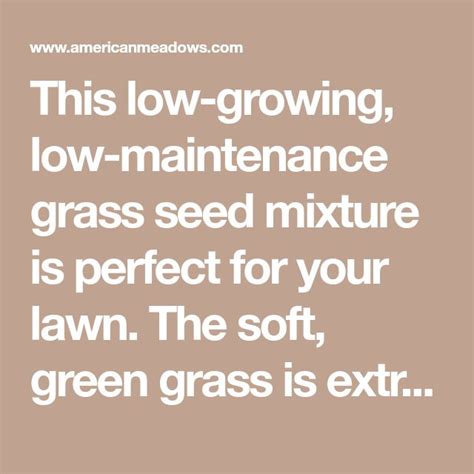 Low Work And Water Dwarf Fescue Grass Seed Grass Seed Fescue Grass