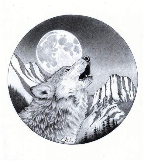 Drawing Of A Wolf Howling At The Moon Posted By Christopher Walker