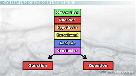 scientific method steps terms  examples   simple