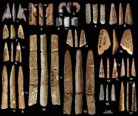 Paleolithic Bone Tools Discovered In Chinese Cave Are Some Of The