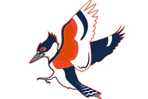 The University Of Illinois Might Make A Kingfisher Its New Mascot It