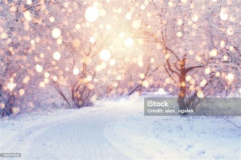 Winter Holiday Illumination Stock Photo Download Image Now Winter