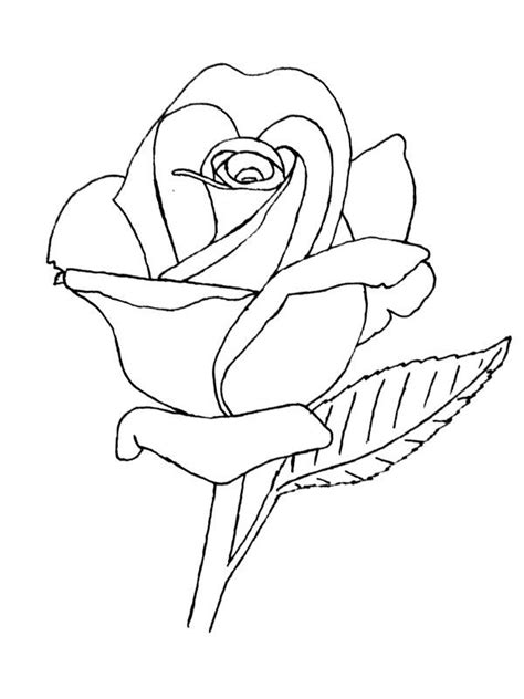 Rose Lineart Rose Outline Drawing Roses Drawing Rose Line Art
