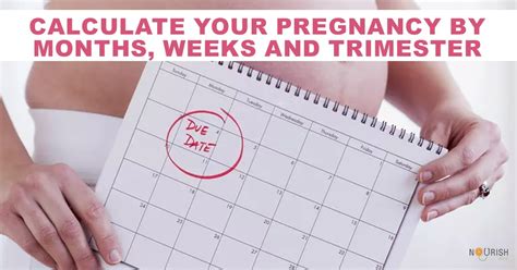 Calculate Your Pregnancy By Months Weeks And Trimester Nourishdoc